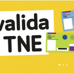 Revalidación de TNE